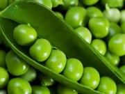 Tin nóng trong ngày - Phát hiện chất gây hỏng gan, ung thư trong bắp non và đậu Hà Lan