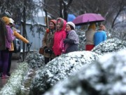 Tin tức - Sa Pa: Du khách đổ ra đường chơi đùa, "check in" cùng tuyết