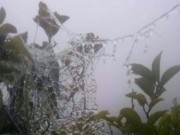 Tin tức - Xuất hiện băng giá ở miền Tây Nghệ An, dân lo lắng