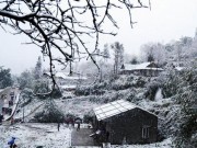 Tin tức - Ngắm Sapa ngập tràn trong tuyết trắng