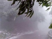 Tin tức - Miền Bắc tiếp tục rét hại, Hà Nội rét 8 độ C