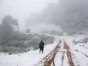 Tin tức - Lạ kỳ băng tuyết ở nơi nóng nhất Việt Nam