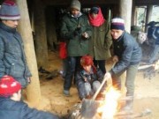 Tin tức - Hơn 100 con trâu, bò tại Thanh Hóa chết rét