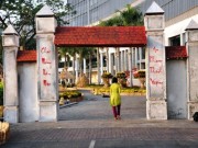 Tin tức - Cảnh quê bình dị giữa Sài Gòn đô hội ngày giáp Tết