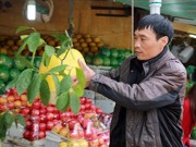 Tin tức - Bòng Kỳ Đà giá 1 triệu đồng đắt khách dịp Tết