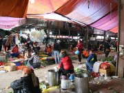 Mua sắm - Giá cả - Thực phẩm, rau xanh tăng giá những ngày giáp Tết