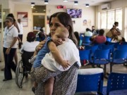 Tin tức - Virus Zika và bệnh teo não được phát hiện như thế nào?