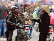 Tin tức - Dư vị Tết xưa tại chợ hoa đào Hàng Lược