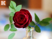 Bếp Eva - Tỉa hoa hồng nhung từ củ dền đẹp như thật!