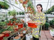 Làng sao - Quý bà Sương Đặng rộn ràng sắm Tết Việt trên đất Mỹ