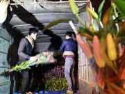 Mua sắm - Giá cả - Chợ ly đêm làng Tây Tựu tấp nập ngày cuối năm