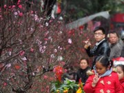 Tin tức - Miền Bắc rét đậm, Hà Nội thấp nhất 10 độ C