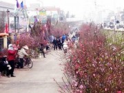 Tin tức - Thời tiết ngày 28 Tết: Miền Bắc tiếp tục rét đậm