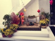 Nhà đẹp - Ngọc Trinh vui Tết trong nhà trắng triệu đô