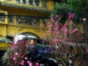 Tin tức - Mùng 2 Tết: Miền Bắc rét đậm, trời hanh khô