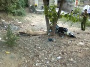 Tin tức - Tông xe vào gốc cây bàng, một người tử vong