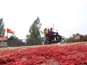 Tin tức - Xác pháo đỏ đường ở Vĩnh Phúc: Xử lý 6 trường hợp