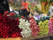 Mua sắm - Giá cả - Khan hiếm, hoa hồng Valentine tăng giá mạnh