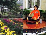 Nhà đẹp - Đột nhập vườn xuân trăm cỏ cây của sao Việt