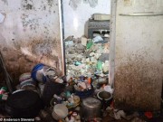 Tin tức - Cận cảnh bên trong tâm dịch Zika gây 'teo não' ở Brazil