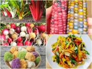 Nhà đẹp - Những loại rau củ cầu vồng 'ngon mắt bổ miệng'