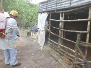 Tin tức - Hết sạch vắc xin khi bệnh lở mồm long móng bùng phát