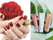 Làm đẹp - Top 5 loại kem dưỡng da tay được đánh giá cao nhất