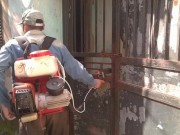 Tin tức - Người dân cảnh giác cao độ với sốt xuất huyết và virus Zika