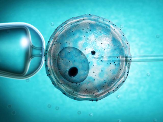 Trẻ thụ tinh trong ống nghiệm sẽ có nguy cơ chết sớm?