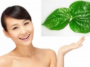Eva Yêu - Sai lầm khi rửa vùng kín bằng lá trầu không