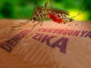 Tin tức - Xét nghiệm 83 trường hợp có triệu chứng giống virus Zika