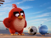 Xem & Đọc - Không thể nhịn cười với "thánh nhọ" của "Angry Birds"!