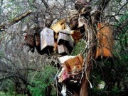 Tin tức - Khám phá những tập tục mai táng kỳ lạ trên thế giới