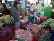 Mua sắm - Giá cả - Hoa tươi ngày 8/3 giá tăng khoảng 30%