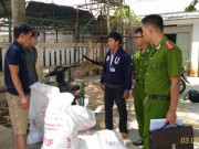 Mua sắm - Giá cả - Chặn đứng hơn 2 tạ gà thối đang trên đường tiêu thụ