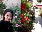 Nhà đẹp - Ngách thiên đường ngợp sắc hoa của cặp đôi Hà thành