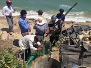 Ngày mới - Hành trình đi tìm "kho báu" chôn dưới ba giếng nước