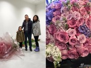 Làng sao - Triệu Vy được chồng tặng 999 đóa hồng nhân ngày sinh nhật
