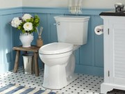 Nhà đẹp - Làm sạch nhà vệ sinh và bồn tiểu đúng cách