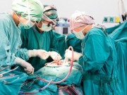 Tin tức - Phương pháp mới giúp người bệnh nhận thận từ mọi người hiến tạng