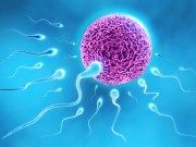 Chuẩn bị mang thai - Những yếu tố "giết chết" tinh trùng nam giới