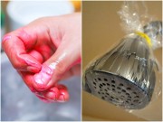 Nhà đẹp - Mẹo thông vòi sen, lau cửa sổ, đuổi côn trùng đơn giản