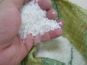 Sức khỏe - Làm rõ nguyên nhân cơm để ba ngày không thiu