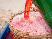 Mua sắm - Giá cả - Kinh hoàng nhuộm đỏ ruốc bằng hóa chất