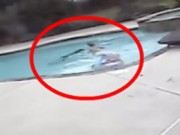 Clip Eva - Video: "Nghẹt thở" bé gái 5 tuổi cứu mẹ khỏi chết đuối