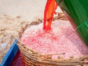 Tin tức - Không thể lấy mẫu kiểm nghiệm vụ ruốc nhuộm hóa chất