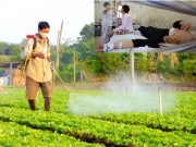 Mua sắm - Giá cả - Người Việt đang 'giãy giụa' giữa mê cung thực phẩm bẩn