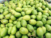 Bếp Eva - Cóc bao tử hút hồn chị em