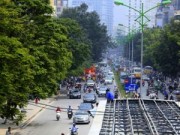 Tin tức - Phó Thủ tướng yêu cầu Hà Nội xử nghiêm vụ chặt cây xanh