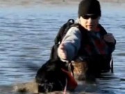 Clip Eva - Chú chó cứu mạng chủ một cách tài tình